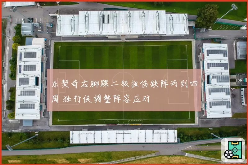 东契奇右脚踝二级扭伤缺阵两到四周 独行侠调整阵容应对